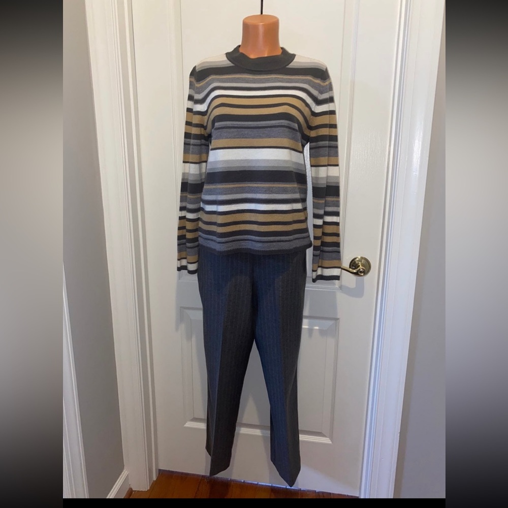 KIM ROGERS L/S Sweater M Medium ALFRED DUNNER Pants 8 Set Neutrals Gray Tan lcsr